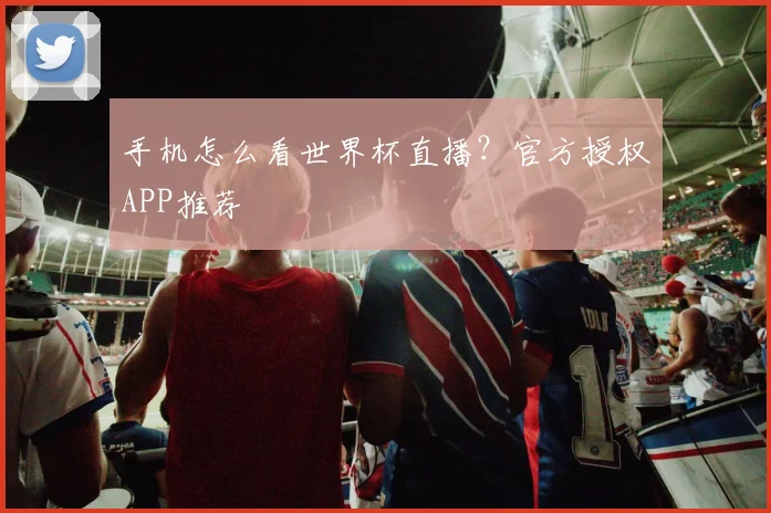 手机怎么看世界杯直播？官方授权APP推荐