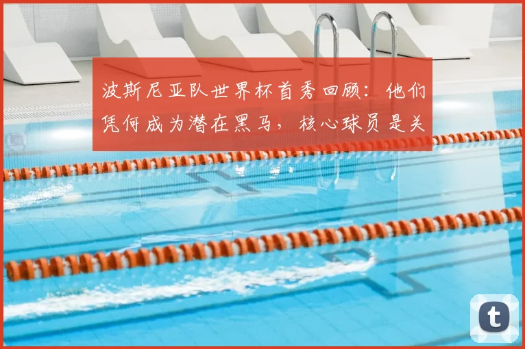 波斯尼亚队世界杯首秀回顾：他们凭何成为潜在黑马，核心球员是关键？